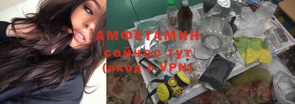 стаф Бородино